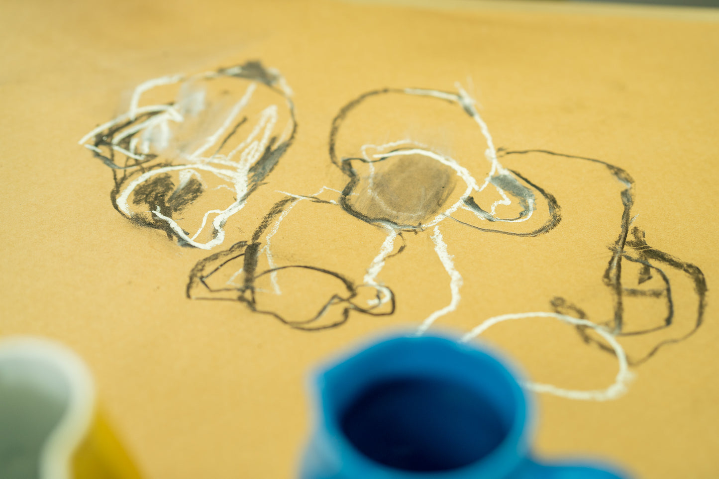 DRAW - Fast & Loose Still Life with Debbie Mackinnon